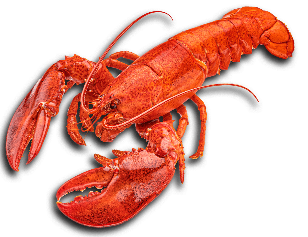 Mayitos Mariscos & Wings: Seafood Restaurant in Houston, TX